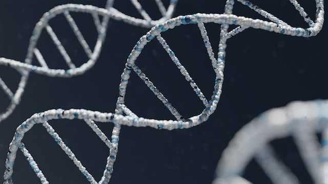 DNA veri bankaları dna profilleri İş Süreçlerinin Mimarı: İş Analistinin Stratejik Karar Alımında Etkin Rolü Türk Hukukunda Dijital Miras